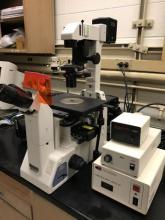 Confocal and Fluorescent Microscope 